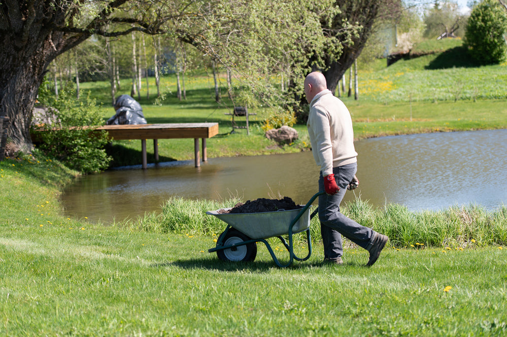 pond cleaning service